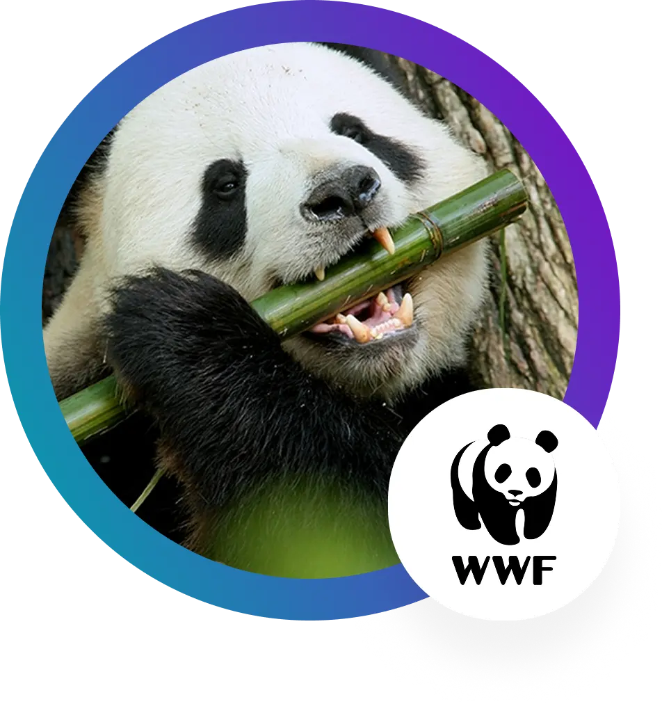 WWF